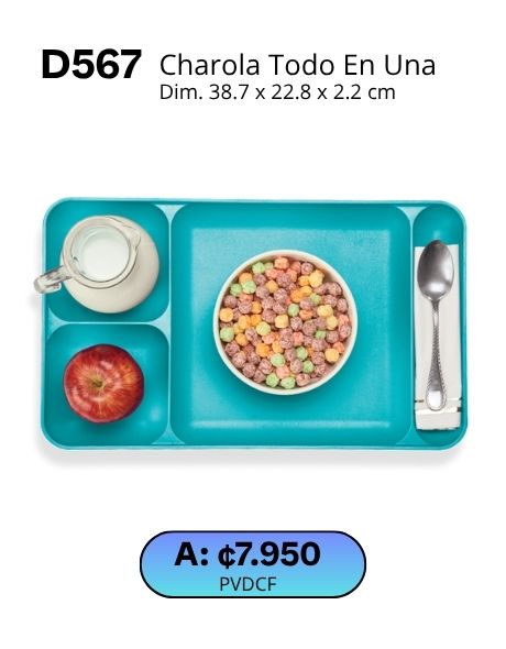 Imagen de Charola Todo en Una (D567) 