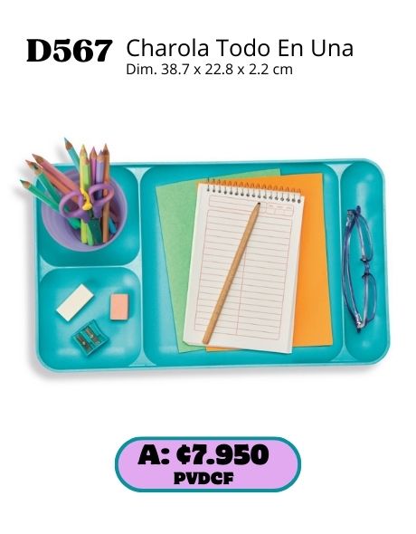 Imagen de Charola Todo en Una (D567) 