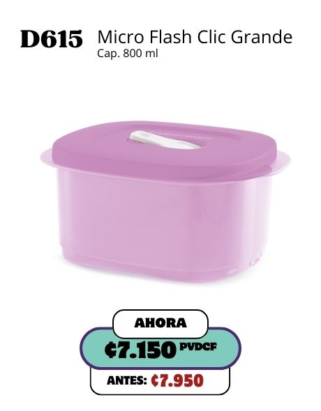 Imagen de Micro Flash Clic Grande Lila (D615) 