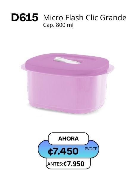 Imagen de Micro Flash Clic Grande Lila (D615) 