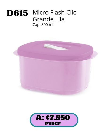 Imagen de Micro Flash Clic Grande Lila (D615) 