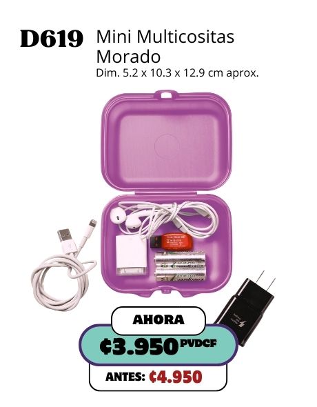 Imagen de Mini Multicositas Morado (D619) 