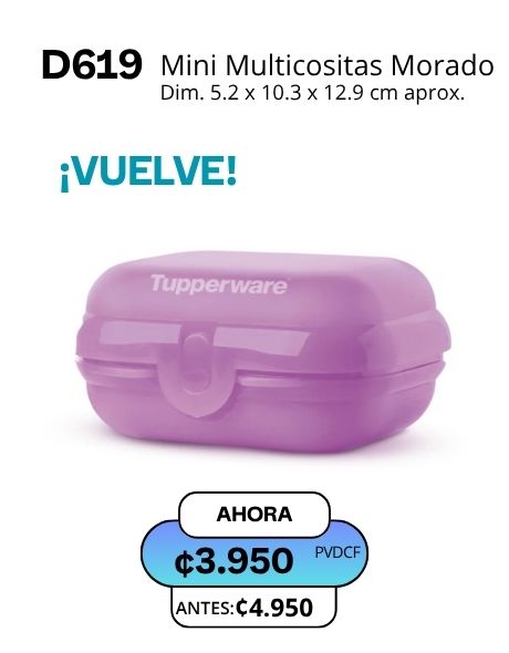 Imagen de Mini multicositas morado (D619) 