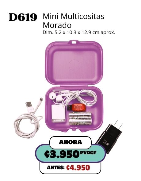 Imagen de Mini multicositas morado (D619) 
