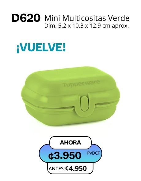 Imagen de Mini multicositas verde (D620) 