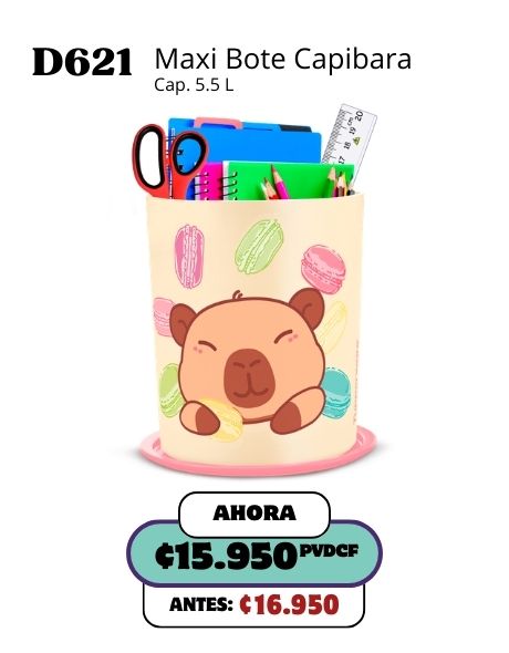 Imagen de Maxi Bote Toque Mágico Capibara (D621) 