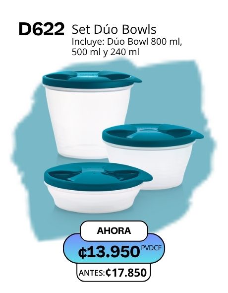 Imagen de Set Dúo Bowls (D622) 