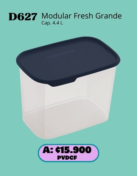 Imagen de Modular Fresh Rectangular Grande (D627) 