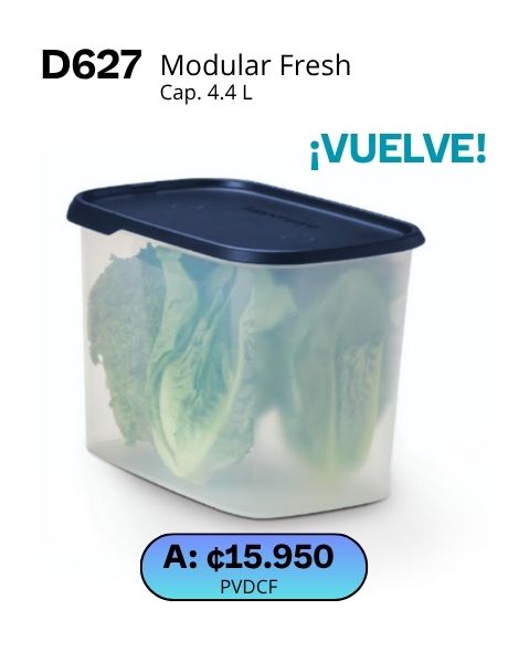 Imagen de Modular Fresh Rectangular Grande (D627) 