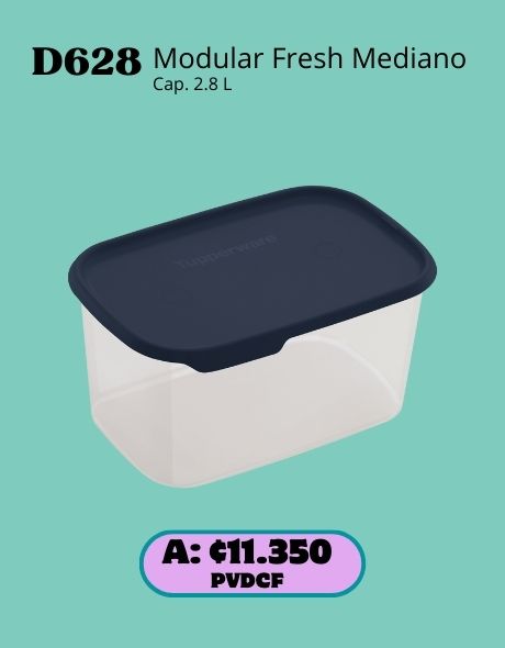 Imagen de Modular Fresh Rectangular Mediano (D628) 