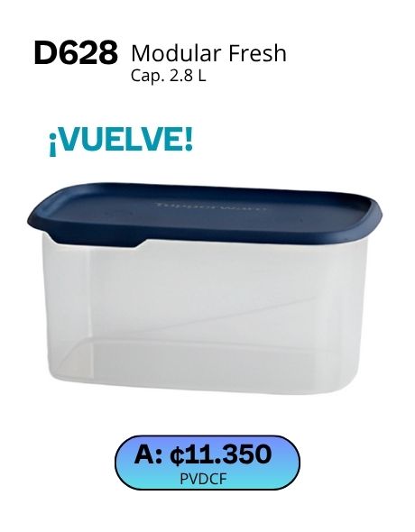 Imagen de Modular Fresh Rectangular Mediano (D628) 