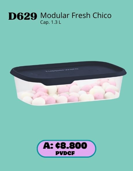 Imagen de Modular Fresh Rectangular Chico (D629) 