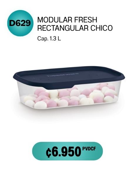Imagen de Modular Fresh Rectangular Chico (D629) 