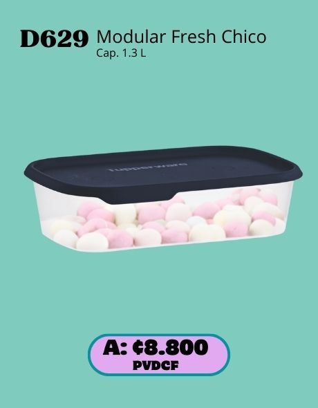 Imagen de Modular Fresh Rectangular Chico (D629) 