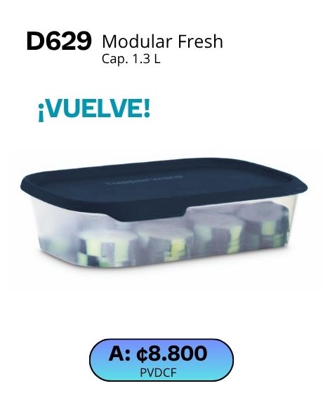 Imagen de Modular Fresh Rectangular Chico (D629) 