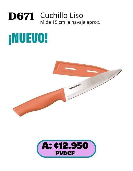 Imagen de Cuchillo Liso Basic (D671) 