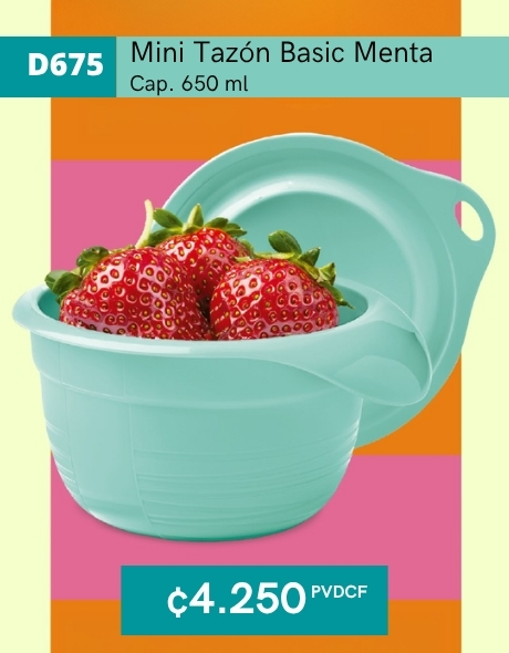 Imagen de Mini Tazón Basic Menta (D675) 