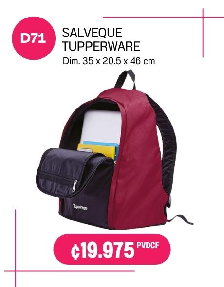 Imagen de Salveque Tupperware (D71) 