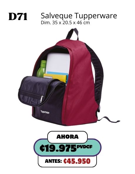 Imagen de Salveque Tupperware (D71) 