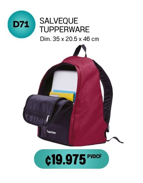 Imagen de Salveque Tupperware (D71) 