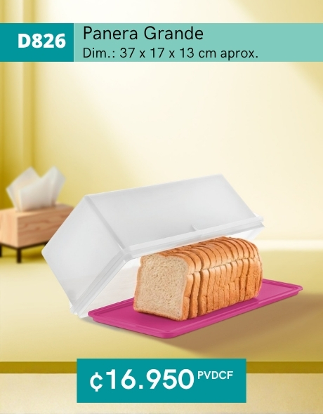 Imagen de Panera Grande (D826) 