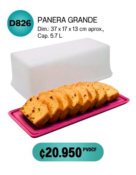 Imagen de Panera Grande (D826) 