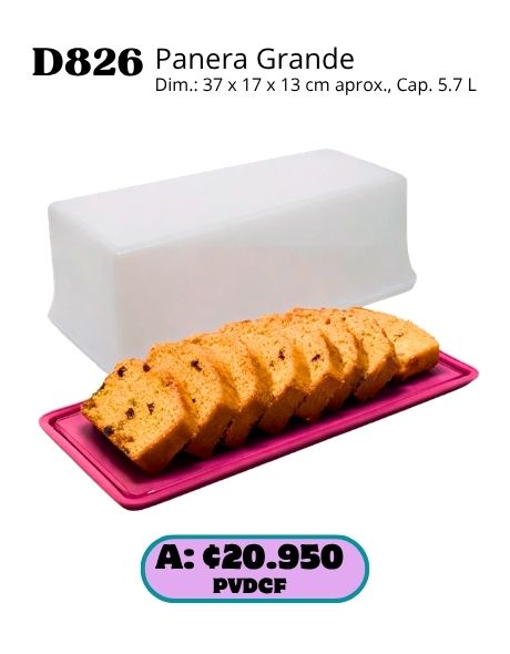 Imagen de Panera Grande (D826) 