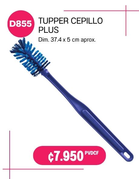 Imagen de Tupper Cepillo Pro (D855) 