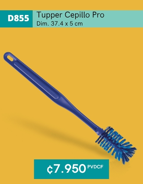 Imagen de Tupper Cepillo Pro (D855) 