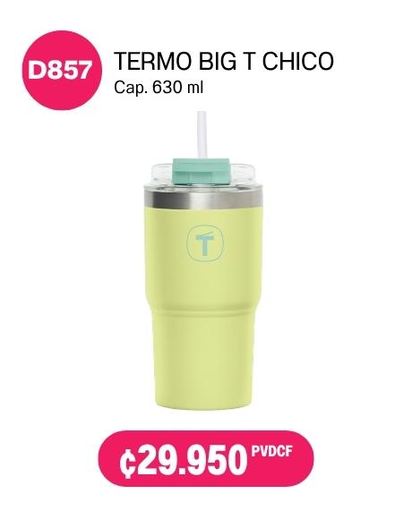 Imagen de Termo Big T Chico Verde (D857) 