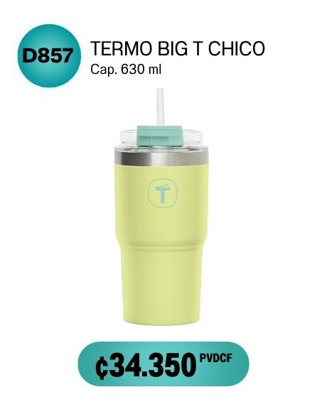 Imagen de Termo Big T Chico Verde (D857) 