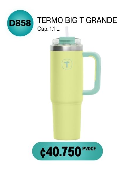 Imagen de Termo Big T Grande Verde (D858) 
