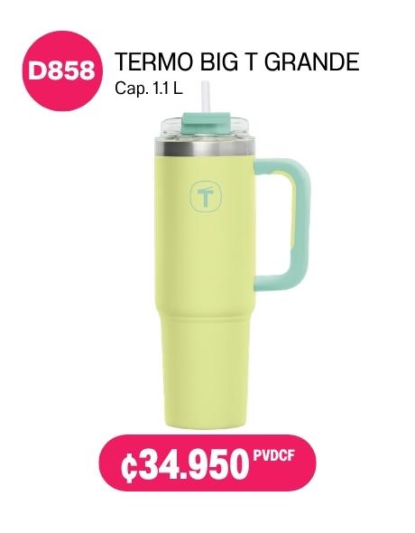 Imagen de Termo Big T Grande Verde (D858) 