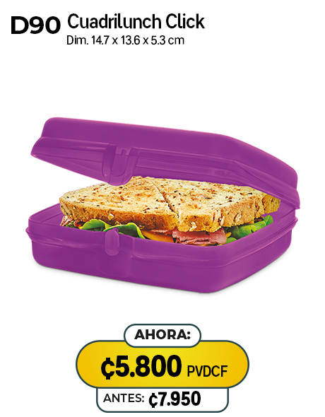 Imagen de Cuadrilunch Click Morado (D90) 