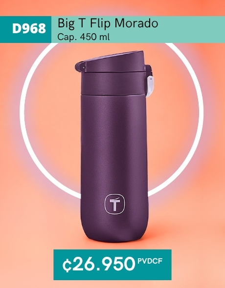 Imagen de Big T Flip Morado 450 ml (D968) 